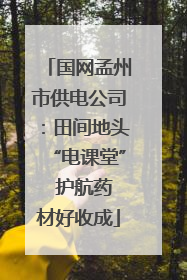 国网孟州市供电公司：田间地头“电课堂”  护航药材好收成