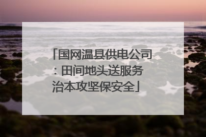 国网温县供电公司：田间地头送服务 治本攻坚保安全