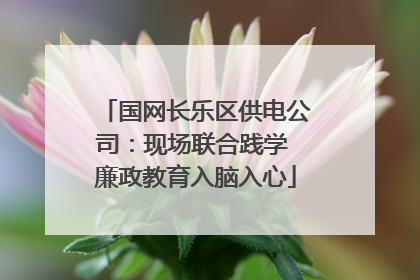 国网长乐区供电公司：现场联合践学 廉政教育入脑入心
