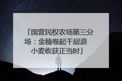 国营民权农场第三分场：金穗卷起千层浪 小麦收获正当时