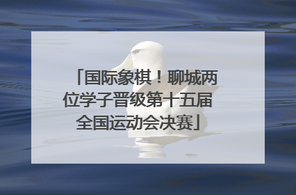 国际象棋！聊城两位学子晋级第十五届全国运动会决赛