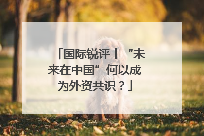 国际锐评丨“未来在中国”何以成为外资共识？