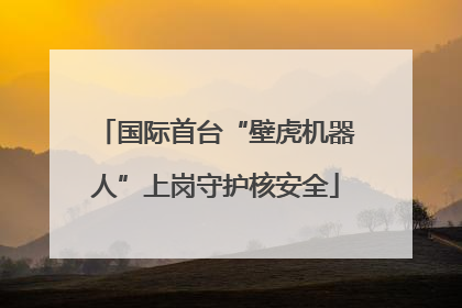 国际首台“壁虎机器人”上岗守护核安全