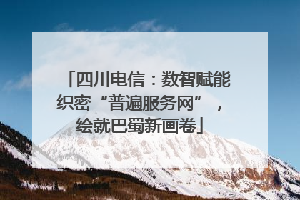 四川电信：数智赋能织密“普遍服务网”，绘就巴蜀新画卷