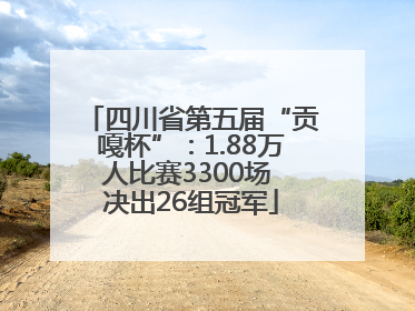 四川省第五届“贡嘎杯”：1.88万人比赛3300场 决出26组冠军