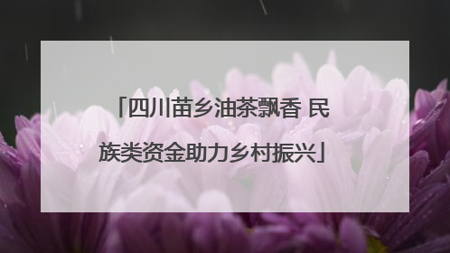 四川苗乡油茶飘香 民族类资金助力乡村振兴