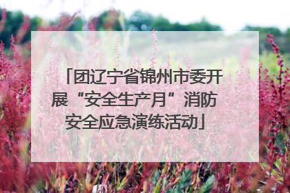 团辽宁省锦州市委开展“安全生产月”消防安全应急演练活动