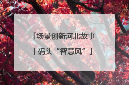 场景创新河北故事丨码头“智慧风”