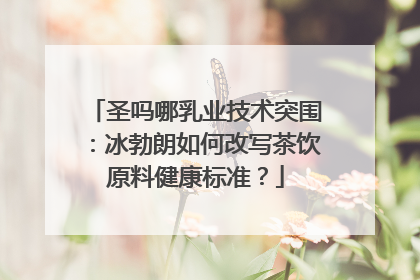 圣吗哪乳业技术突围：冰勃朗如何改写茶饮原料健康标准？