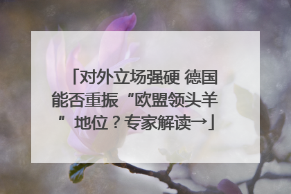 对外立场强硬 德国能否重振“欧盟领头羊”地位？专家解读→