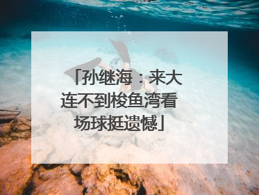 孙继海：来大连不到梭鱼湾看场球挺遗憾
