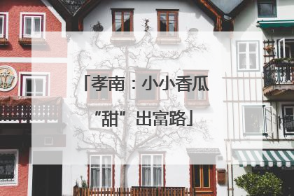 孝南：小小香瓜 “甜”出富路