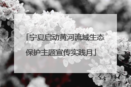 宁夏启动黄河流域生态保护主题宣传实践月