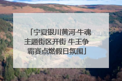 宁夏银川黄河·牛魂主题街区开街 牛王争霸赛点燃假日氛围