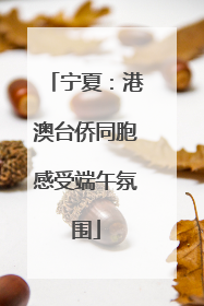 宁夏：港澳台侨同胞感受端午氛围