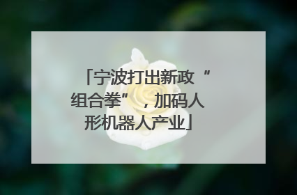 宁波打出新政“组合拳”，加码人形机器人产业