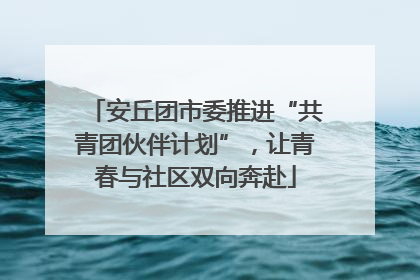 安丘团市委推进“共青团伙伴计划”，让青春与社区双向奔赴