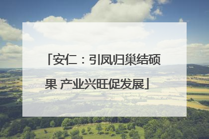 安仁：引凤归巢结硕果 产业兴旺促发展