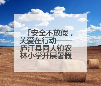 安全不放假，关爱在行动——庐江县同大镇农林小学开展暑假前安全教育大家访