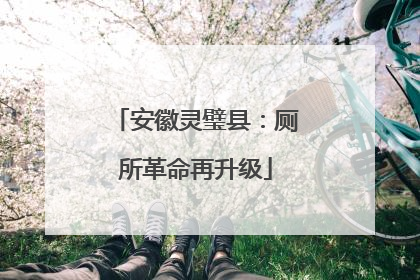 安徽灵璧县：厕所革命再升级