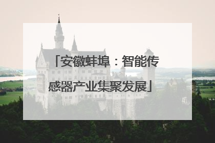 安徽蚌埠：智能传感器产业集聚发展