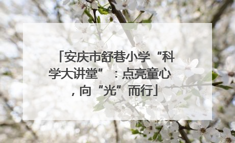 安庆市舒巷小学“科学大讲堂”：点亮童心，向“光”而行