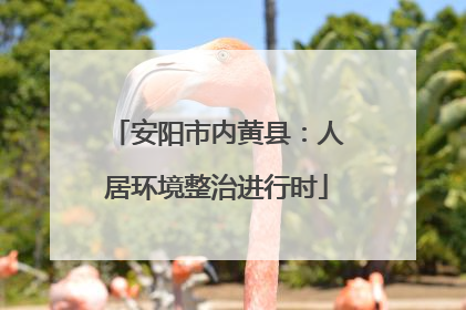 安阳市内黄县：人居环境整治进行时