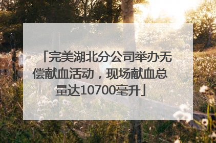 完美湖北分公司举办无偿献血活动，现场献血总量达10700毫升