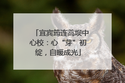 宜宾筠连蒿坝中心校：心“芽”初绽，自暖成光