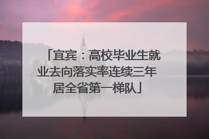 宜宾：高校毕业生就业去向落实率连续三年居全省第一梯队