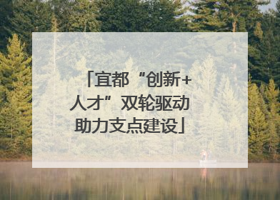 宜都“创新+人才”双轮驱动助力支点建设