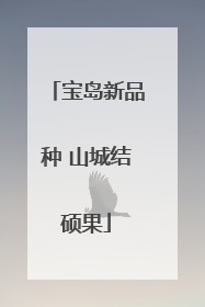 宝岛新品种 山城结硕果