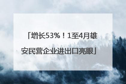 增长53%！1至4月雄安民营企业进出口亮眼