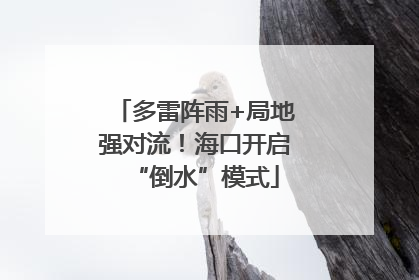 多雷阵雨+局地强对流！海口开启“倒水”模式
