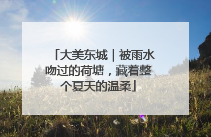 大美东城｜被雨水吻过的荷塘，藏着整个夏天的温柔