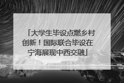 大学生毕设点燃乡村创新！国际联合毕设在宁海展现中西交融