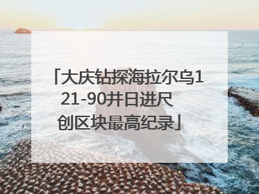 大庆钻探海拉尔乌121-90井日进尺 创区块最高纪录