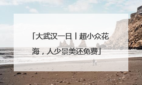 大武汉一日丨超小众花海，人少景美还免费