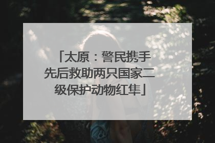 太原：警民携手 先后救助两只国家二级保护动物红隼