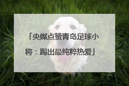 央媒点赞青岛足球小将：踢出最纯粹热爱