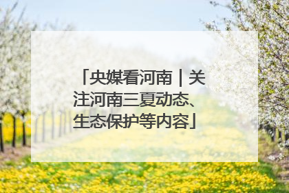 央媒看河南｜关注河南三夏动态、生态保护等内容