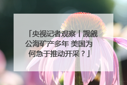 央视记者观察丨觊觎公海矿产多年 美国为何急于推动开采？