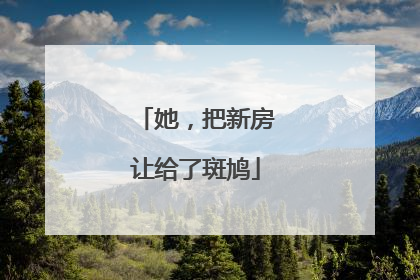她，把新房让给了斑鸠