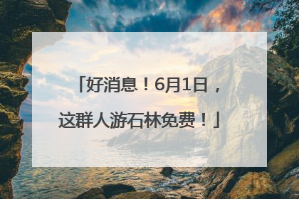 好消息！6月1日，这群人游石林免费！