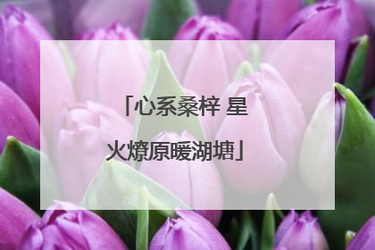 心系桑梓 星火燎原暖湖塘