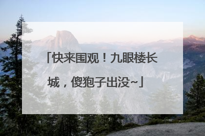 快来围观！九眼楼长城，傻狍子出没~