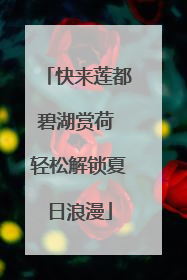 快来莲都碧湖赏荷 轻松解锁夏日浪漫