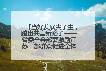 当好发展尖子生，蹚出共富新路子——省委全会部署激励江苏干部群众促进全体人民共同富裕