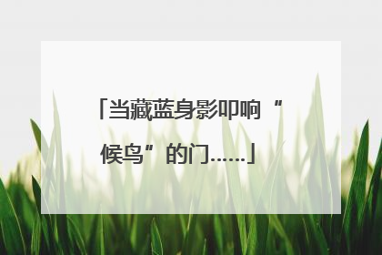 当藏蓝身影叩响“候鸟”的门……