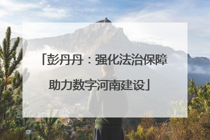 彭丹丹：强化法治保障 助力数字河南建设